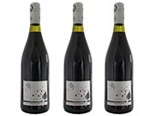 2021 Pinot Noir · Maison Albert · Øko
