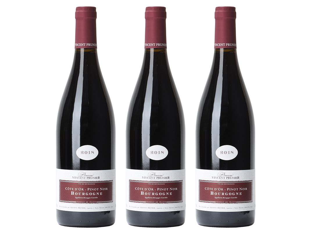 2019 Pinot Noir Cote D’Or · Prunier
